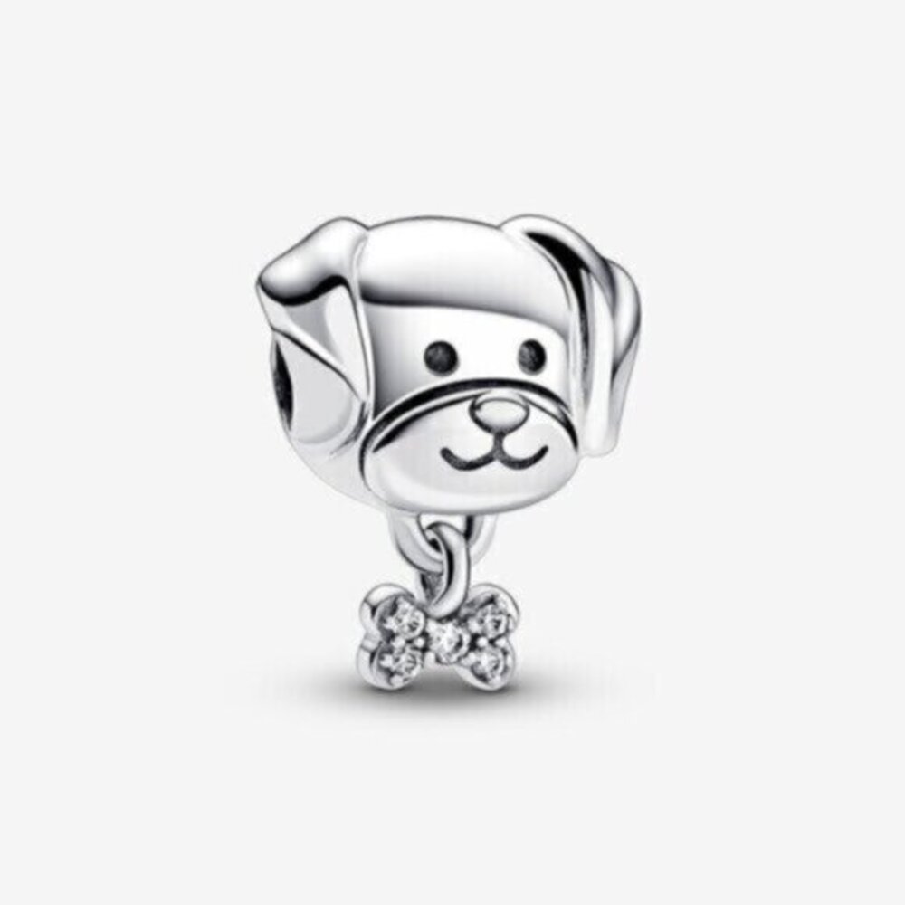 Pandora charms